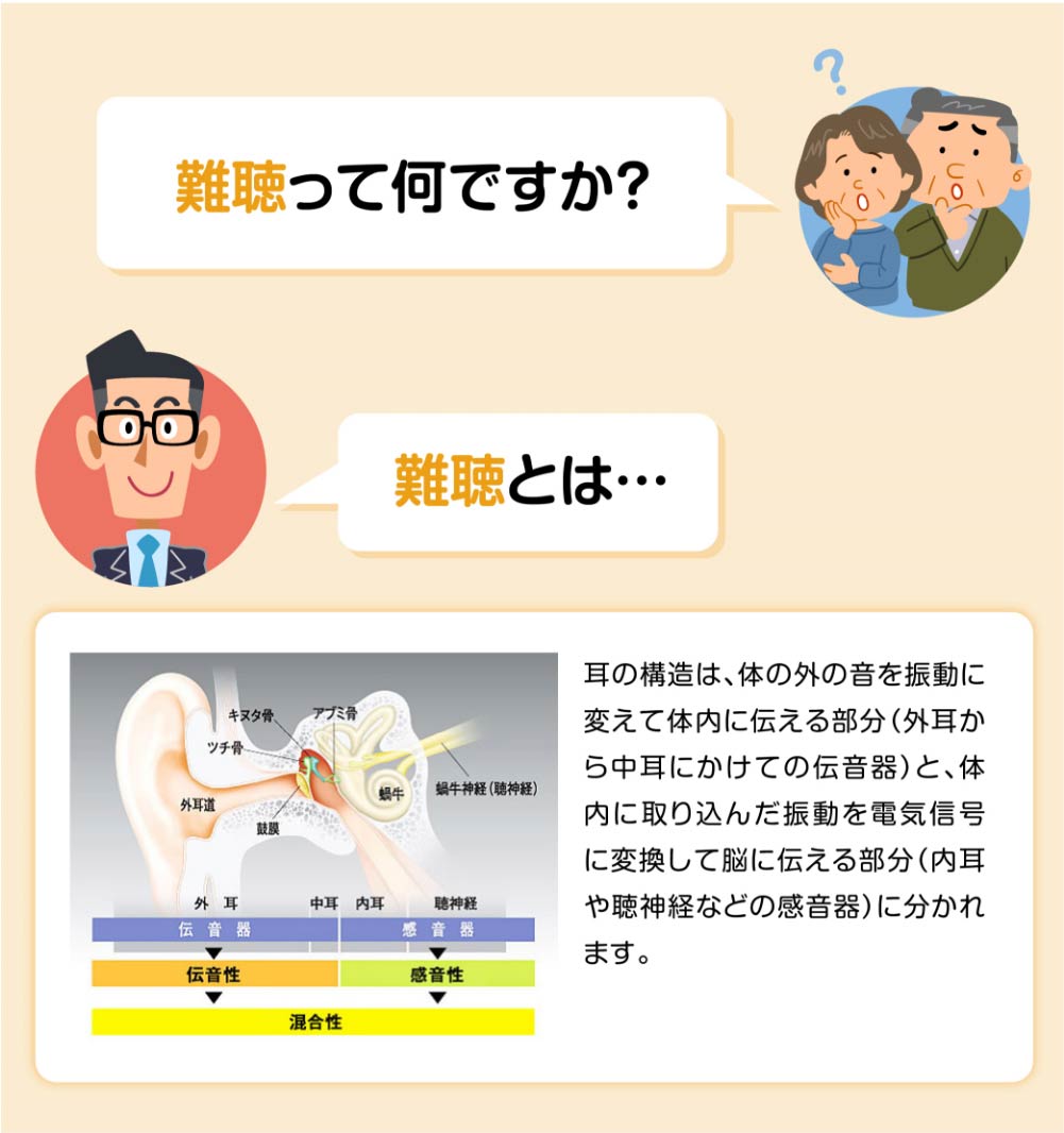 難聴って何ですか？
難聴とは…
耳の構造は、体の外の音を振動に変えて体内に伝える部分（外耳から中耳にかけての伝音器）と、体内に取り込んだ振動を電気信号に変換して脳に伝える部分（内耳や聴神経などの感音器）に分かれます。